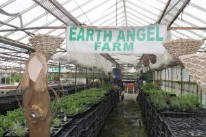 Earth Angels Farm