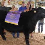 Trumbull County Fair sale results 2018 Trumbull grand steer