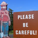 Ohio receives Golden Smokey Award for wildfire prevention smokey bear