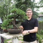 Training bonsai trees — that’s ‘bone-sigh’ Bonsai