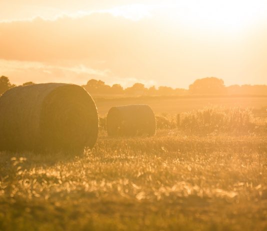 hay bales