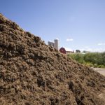 Reduce your corn silage milk production slump silage pile