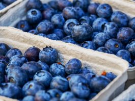 blueberries