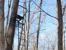 Essential tree stand safety tips to prevent hunting falls tree stand