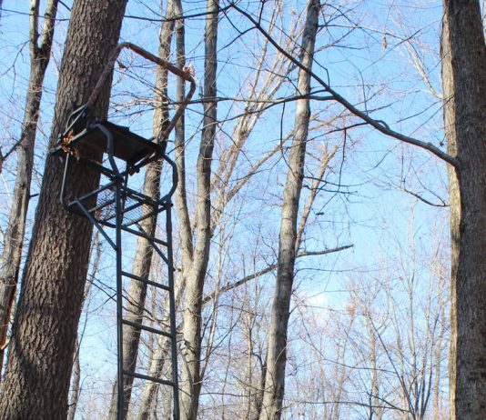 Essential tree stand safety tips to prevent hunting falls tree stand