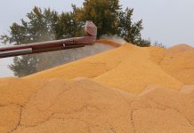USDA taketh, USDA giveth back outdoor corn storage