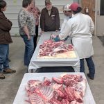 Ohio producers get carcass insight sheep school