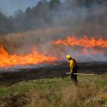 Controlled burns for wildlife yield benefits controlled burns