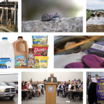 Farm and Dairy’s top 10 web stories in 2018 2018 top 10 web stories collage