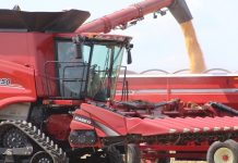 Farmers thankful for payments, but prefer market access corn dump