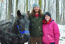 Young Pa. couple builds horse logging business Dehan and Rebecca Courtney