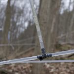 Still time to attend Ohio Maple Days (but hurry) maple syrup tubing