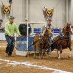 Miniature horses pull at Pa. Farm Show mini horse pull