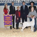 Steer brings $18,000 at Farm Show 2019 Pennsylvania Farm Show livestock sale