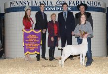 Steer brings $18,000 at Farm Show 2019 Pennsylvania Farm Show livestock sale