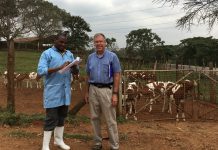 Ohio man works to build Kenya dairy industry Dwight Roseler in Kenya