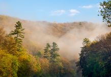 Savoring the last days of summer in Cook Forest Clarion River