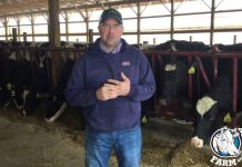 Knox County dairyman has found a sweet spot, at least with life