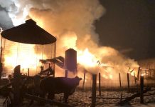 Wayne County man loses beef cattle in barn fire Wayne County barn fire. (Photo courtesy of Jonas Troyer, Orrville, Ohio)