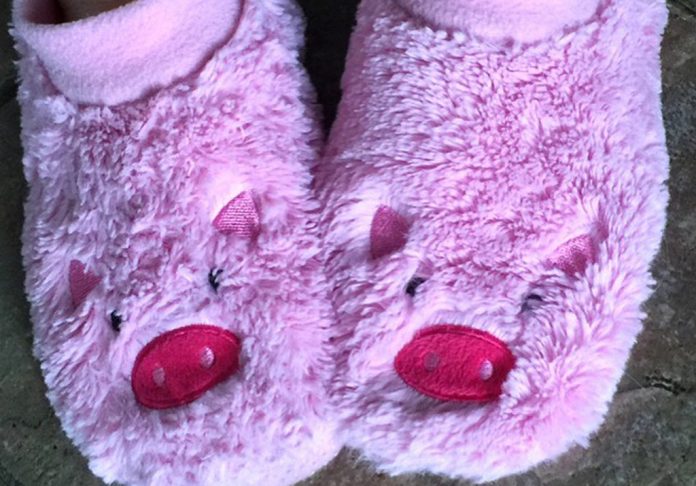 Pig slippers