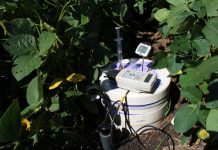 Manure proves beneficial as an organic fertilizer Manuren vs fertilizer