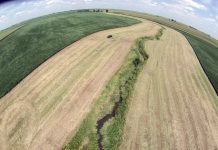 Profit pressures hamper the use of conservation practices in farming buffer strips