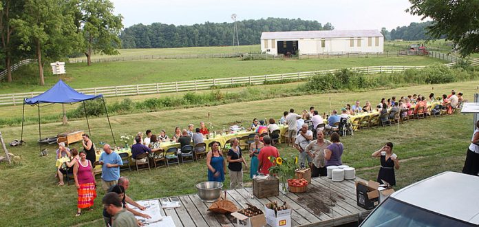 Farm to table dinner