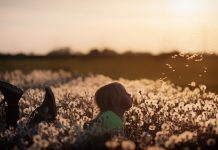 Springtime fever and imaginations child in a dandelion field