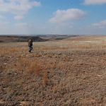 Kansas farmers continue recovery from historic fire burnt pastures in Kansas