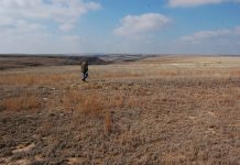 Kansas farmers continue recovery from historic fire burnt pastures in Kansas