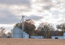 USDA planting, stocks reports shock market fall harvest grain bins USDA report planting