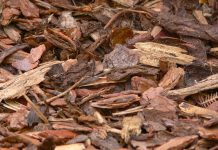 How to properly mulch around landscape trees bark mulch
