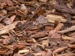 How to properly mulch around landscape trees bark mulch