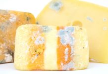 Knowing when to throw out moldy food moldy cheese