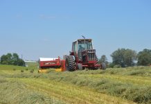 Hay shortage is a growing concern for farmers