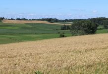 Census of Agriculture creates snapshot of US agriculture census of agriculture, Ohio farm,