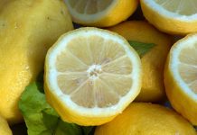 Growing fruits and vegetables from kitchen scraps lemons