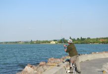 Lake Erie to see above average walleye hatch Lake Erie angler