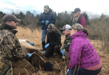 Penn State students study low elk pregnancy rates Pennsylvania Game Commission biologist with four Penn State students and their insturctor