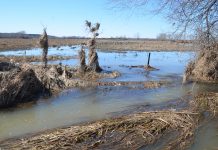 Sending flood relief in time of crisis