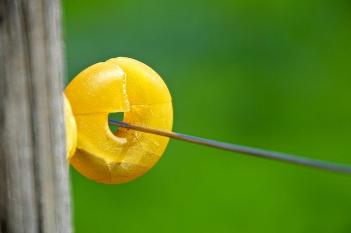 electric fence