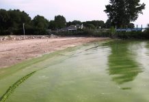 Farmers must get out in front Lake Erie, toxic algal bloom, algae,