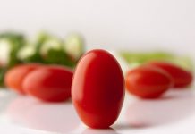 Galaxy Suite grape tomato varieties released tomatoes