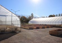 OSU Mansfield to pilot urban agriculture project OSU Mansfield, micro-farm, local food,