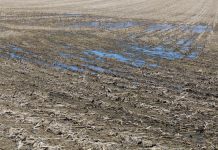 When you thought grain markets couldn’t get worse… delayed planting, wet field, Ohio farm,