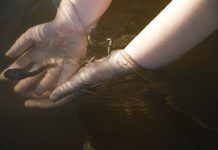 Spark your child’s interest in conservation at young age