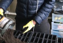 Cleveland youth program digs in planting club crops