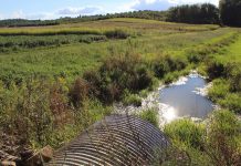 Drainers versus sustainers water quality, tile, CRP, Ohio farm