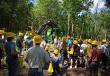 Timber expo to be held June 7-8 timber expo