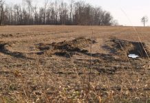 Slow planting progress dominates grain markets rutted wet farm field, Ohio farm, planting,